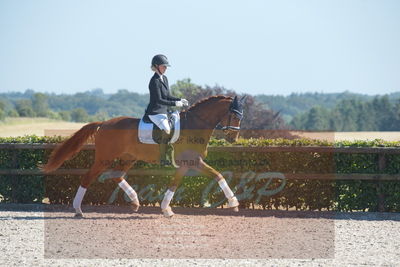 Blue Hors Dressurchampionat 2019 3års
Billeder fra stævnet
Nøgleord: aagaardens lionell;ida hoffman-bang