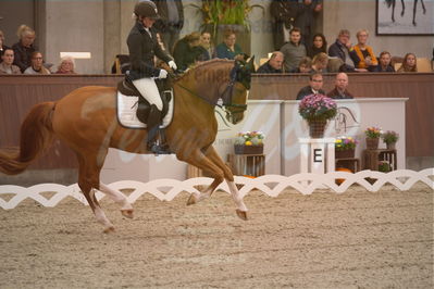 Dansk Rideforbunds Championats finaler 2019 dressur
Dansk Rideforbunds Championats finaler 2018
6 års
Nøgleord: møgelvangs ferrari;pernille elten sigsgaard