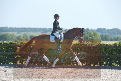 Blue Hors Dressurchampionat 2019 3års
Billeder fra stævnet
Nøgleord: aagaardens lionell;ida hoffman-bang