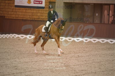 Dansk Rideforbunds Championats finaler 2019 dressur
Dansk Rideforbunds Championats finaler 2018
6 års
Nøgleord: møgelvangs ferrari;pernille elten sigsgaard