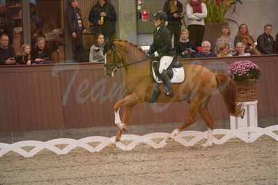 Dansk Rideforbunds Championats finaler 2019 dressur
Dansk Rideforbunds Championats finaler 2018
6 års
Nøgleord: møgelvangs ferrari;pernille elten sigsgaard