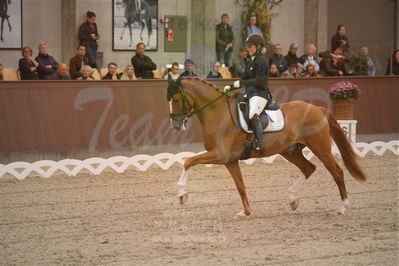 Dansk Rideforbunds Championats finaler 2019 dressur
Dansk Rideforbunds Championats finaler 2018
6 års
Nøgleord: møgelvangs ferrari;pernille elten sigsgaard