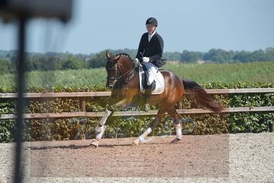 Blue Hors Dressurchampionat 2019 3års
Billeder fra stævnet
Nøgleord: zilli al;steen steensen blicher