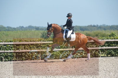 Blue Hors Dressurchampionat 2019 3års
Billeder fra stævnet
Nøgleord: aagaardens lionell;ida hoffman-bang