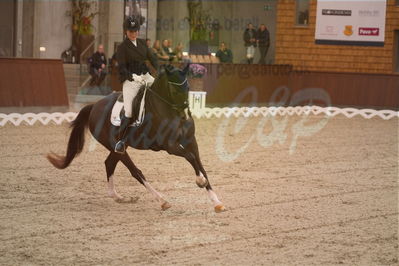 Dansk Rideforbunds Championats finaler 2019 dressur
Dansk Rideforbunds Championats finaler 2018
6 års
Nøgleord: favour gersdorf;nadja aaboe sloth