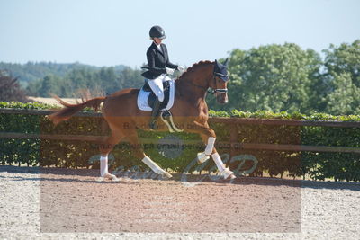 Blue Hors Dressurchampionat 2019 3års
Billeder fra stævnet
Nøgleord: aagaardens lionell;ida hoffman-bang