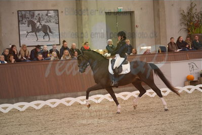 Dansk Rideforbunds Championats finaler 2019 dressur
Dansk Rideforbunds Championats finaler 2018
6 års
Nøgleord: favour gersdorf;nadja aaboe sloth