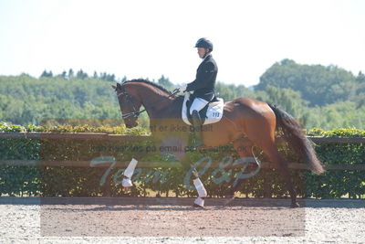 Blue Hors Dressurchampionat 2019 3års
Billeder fra stævnet
