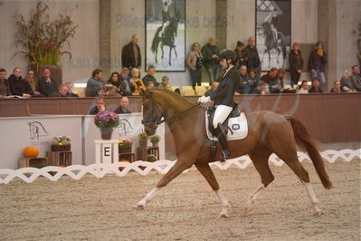 Dansk Rideforbunds Championats finaler 2019 dressur
Dansk Rideforbunds Championats finaler 2018
6 års
Nøgleord: rhett butler;amalie greve christensen