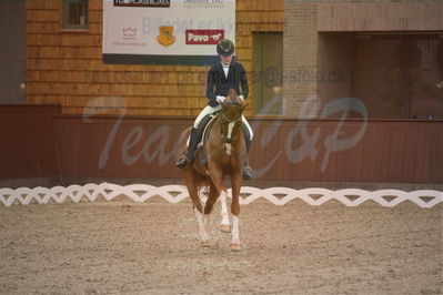 Dansk Rideforbunds Championats finaler 2019 dressur
Dansk Rideforbunds Championats finaler 2018
6 års
Nøgleord: rhett butler;amalie greve christensen