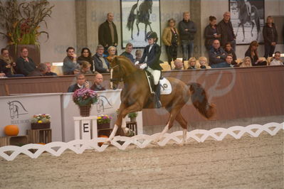 Dansk Rideforbunds Championats finaler 2019 dressur
Dansk Rideforbunds Championats finaler 2018
6 års
Nøgleord: rhett butler;amalie greve christensen