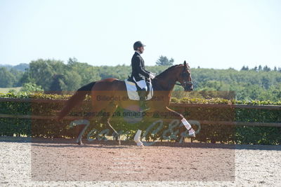 Blue Hors Dressurchampionat 2019 3års
Billeder fra stævnet
Nøgleord: cosmas-nino;joao costa