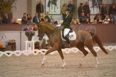 Dansk Rideforbunds Championats finaler 2019 dressur
Dansk Rideforbunds Championats finaler 2018
6 års
Nøgleord: rhett butler;amalie greve christensen