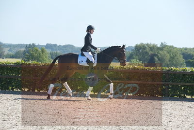 Blue Hors Dressurchampionat 2019 3års
Billeder fra stævnet
Nøgleord: dreamy hit kilen;rikke klinkby