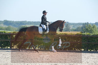 Blue Hors Dressurchampionat 2019 3års
Billeder fra stævnet
Nøgleord: cosmas-nino;joao costa