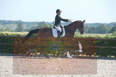 Blue Hors Dressurchampionat 2019 3års
Billeder fra stævnet
Nøgleord: cosmas-nino;joao costa