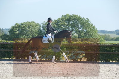 Blue Hors Dressurchampionat 2019 3års
Billeder fra stævnet
Nøgleord: dreamy hit kilen;rikke klinkby