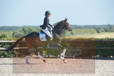 Blue Hors Dressurchampionat 2019 3års
Billeder fra stævnet
Nøgleord: dreamy hit kilen;rikke klinkby