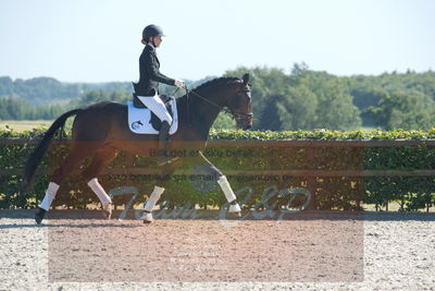 Blue Hors Dressurchampionat 2019 3års
Billeder fra stævnet
Nøgleord: dreamy hit kilen;rikke klinkby