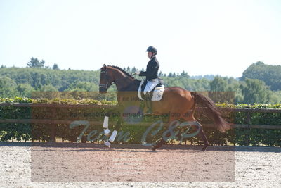 Blue Hors Dressurchampionat 2019 3års
Billeder fra stævnet
Nøgleord: cosmas-nino;joao costa