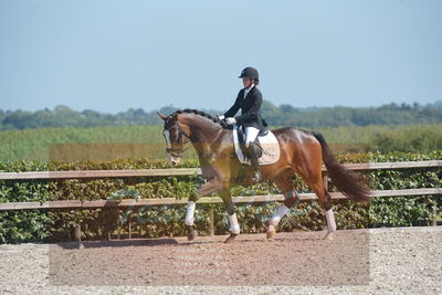 Blue Hors Dressurchampionat 2019 3års
Billeder fra stævnet
