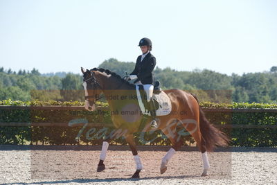 Blue Hors Dressurchampionat 2019 3års
Billeder fra stævnet
