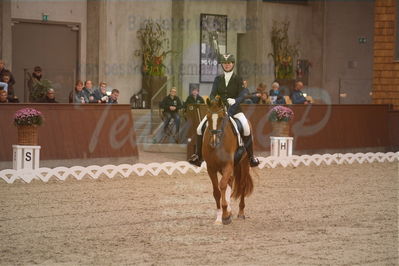 Dansk Rideforbunds Championats finaler 2019 dressur
Dansk Rideforbunds Championats finaler 2018
6 års
Nøgleord: midt-west zalando;lise ladefoged jensen