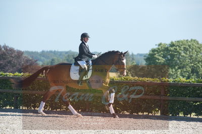 Blue Hors Dressurchampionat 2019 3års
Billeder fra stævnet
Nøgleord: spencer;sally lundquist