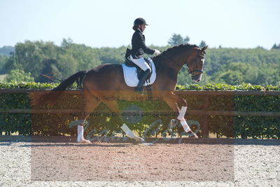 Blue Hors Dressurchampionat 2019 3års
Billeder fra stævnet
Nøgleord: spencer;sally lundquist