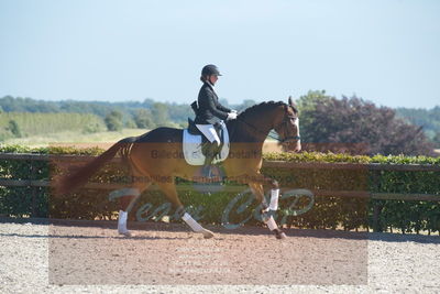 Blue Hors Dressurchampionat 2019 3års
Billeder fra stævnet
Nøgleord: spencer;sally lundquist