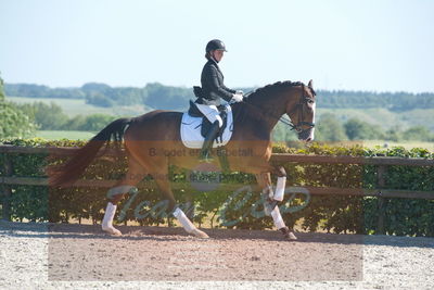 Blue Hors Dressurchampionat 2019 3års
Billeder fra stævnet
Nøgleord: spencer;sally lundquist