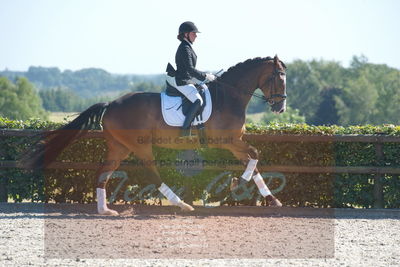 Blue Hors Dressurchampionat 2019 3års
Billeder fra stævnet
Nøgleord: spencer;sally lundquist