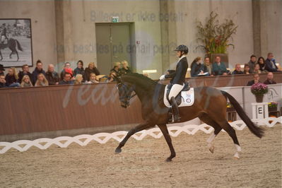 Dansk Rideforbunds Championats finaler 2019 dressur
Dansk Rideforbunds Championats finaler 2018
6 års
Nøgleord: anette ejlersgaard;baunehøjens carpaccio