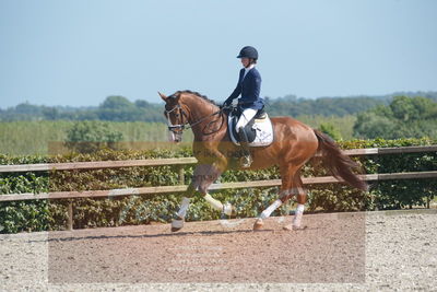 Blue Hors Dressurchampionat 2019 3års
Billeder fra stævnet
Nøgleord: spencer;mette rasmussen