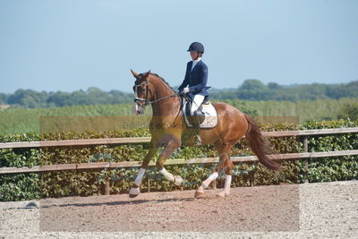 Blue Hors Dressurchampionat 2019 3års
Billeder fra stævnet
Nøgleord: spencer;mette rasmussen