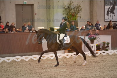 Dansk Rideforbunds Championats finaler 2019 dressur
Dansk Rideforbunds Championats finaler 2018
6 års
Nøgleord: anette ejlersgaard;baunehøjens carpaccio