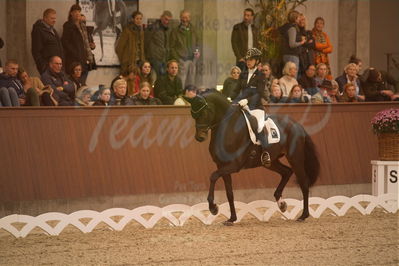 Dansk Rideforbunds Championats finaler 2019 dressur
Dansk Rideforbunds Championats finaler 2018
6 års
Nøgleord: atterupgaard delorean;selina solberg vittinghus