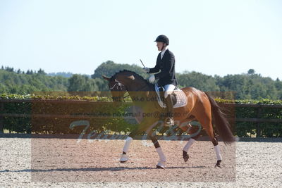 Blue Hors Dressuchampionat 2019 4års
Billeder fra stævnet
Nøgleord: monique;steen steensen blicher