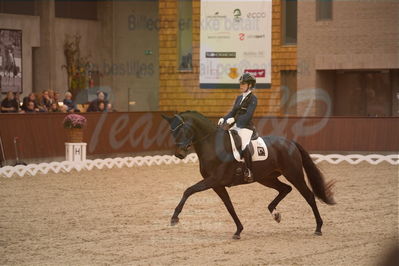 Dansk Rideforbunds Championats finaler 2019 dressur
Dansk Rideforbunds Championats finaler 2018
6 års
Nøgleord: atterupgaard delorean;selina solberg vittinghus