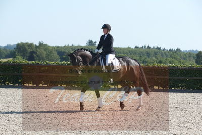 Blue Hors Dressuchampionat 2019 4års
Billeder fra stævnet
Nøgleord: day-light's soulmate;astrid grøn