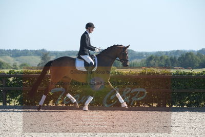 Blue Hors Dressuchampionat 2019 4års
Billeder fra stævnet
Nøgleord: monique;steen steensen blicher