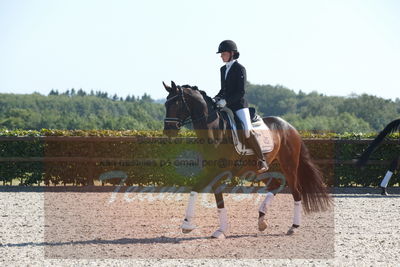 Blue Hors Dressuchampionat 2019 4års
Billeder fra stævnet
Nøgleord: domino;tanja rusovic