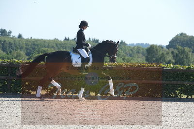 Blue Hors Dressuchampionat 2019 4års
Billeder fra stævnet
Nøgleord: day-light's soulmate;astrid grøn