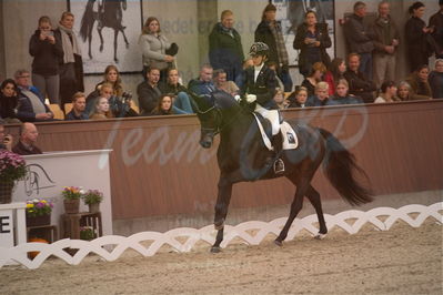 Dansk Rideforbunds Championats finaler 2019 dressur
Dansk Rideforbunds Championats finaler 2018
6 års
Nøgleord: atterupgaard delorean;selina solberg vittinghus
