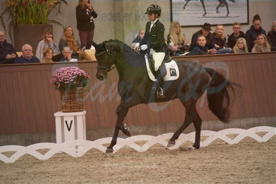 Dansk Rideforbunds Championats finaler 2019 dressur
Dansk Rideforbunds Championats finaler 2018
6 års
Nøgleord: atterupgaard delorean;selina solberg vittinghus
