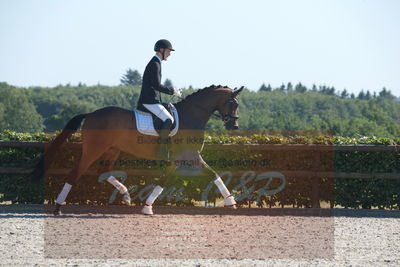 Blue Hors Dressuchampionat 2019 4års
Billeder fra stævnet
Nøgleord: monique;steen steensen blicher