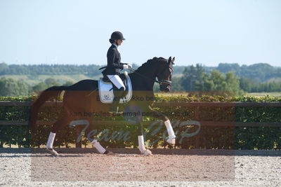 Blue Hors Dressuchampionat 2019 4års
Billeder fra stævnet
Nøgleord: domino;tanja rusovic