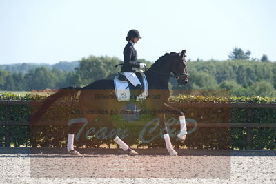 Blue Hors Dressuchampionat 2019 4års
Billeder fra stævnet
Nøgleord: domino;tanja rusovic