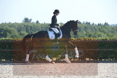 Blue Hors Dressuchampionat 2019 4års
Billeder fra stævnet
Nøgleord: domino;tanja rusovic