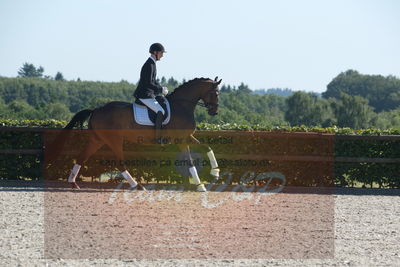 Blue Hors Dressuchampionat 2019 4års
Billeder fra stævnet
Nøgleord: monique;steen steensen blicher